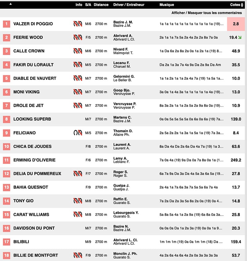 Pronostic Quinté Vincennes 21 novembre 2020 Prix de Bretagne 