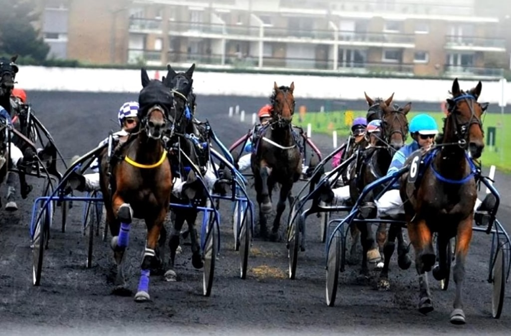 Resultat Quinté Bordeaux 10 Novembre 2020 Grand Prix Dynavena Maisagri