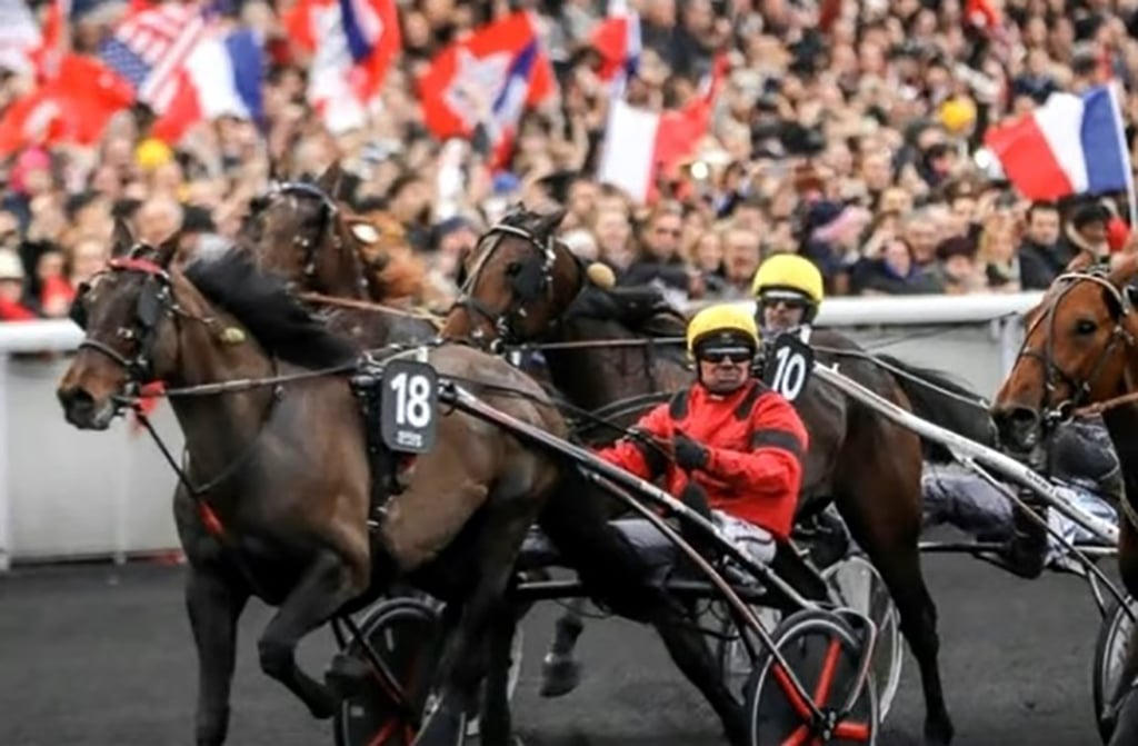 Resultat Quinté Vincennes 26 Novembre 2020 Prix de Picardie